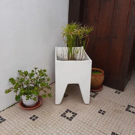 Sofia * Foz do Arelho