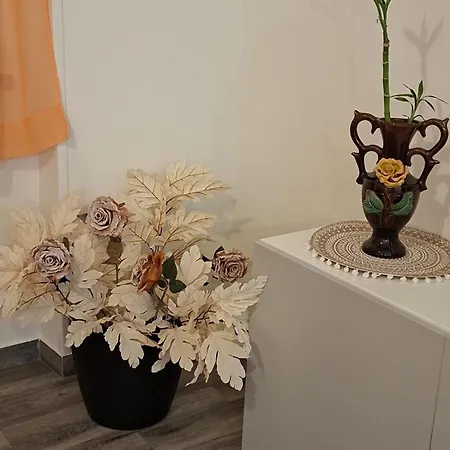 Sofia Σπίτι διακοπών