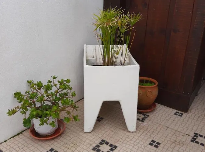 Sofia * Foz do Arelho